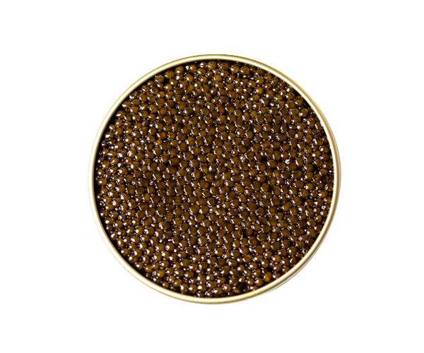 foto Caviar Gourmet